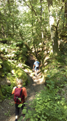 Felsenwald-Tour Juli 2018